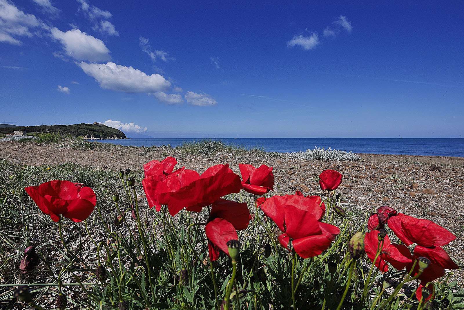 La spiaggia di Rimigliano, San Vincenzo - Hotel Ciritorno