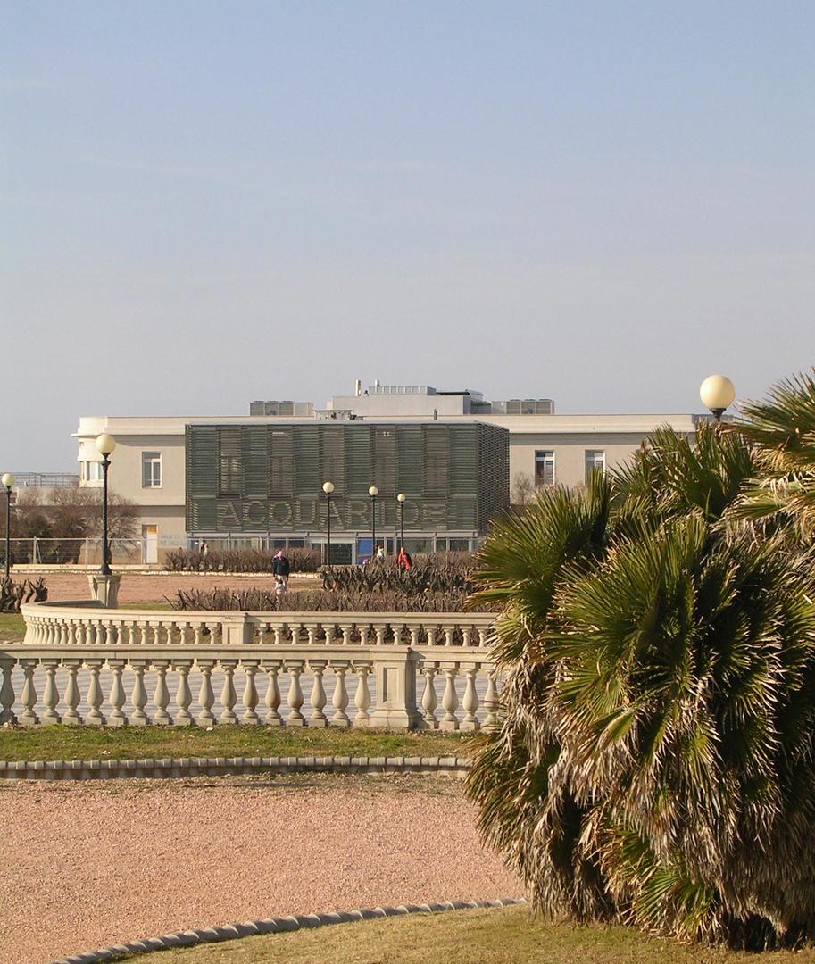 Acquario di Livorno - Hotel Ciritorno